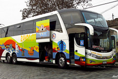 buses-ramos-cholele-1